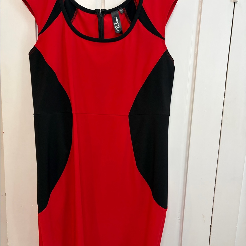 Trixxi Red and Black Panel Mini Dress